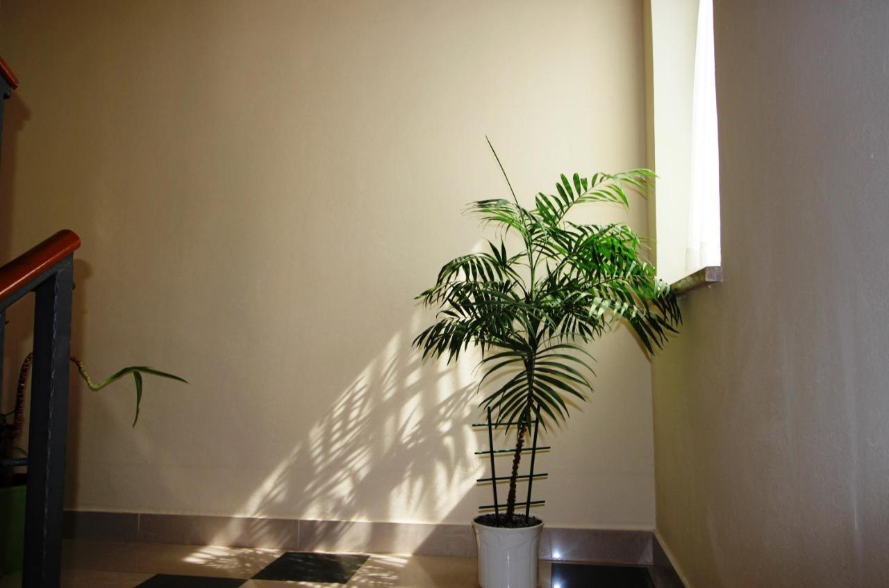 Maria Mare Appartement Rovinj Buitenkant foto
